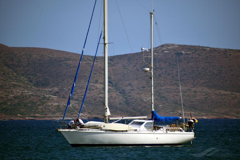 FISH SHIPS photo