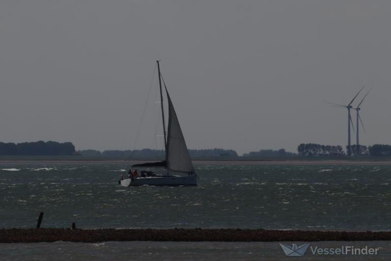 MARE photo