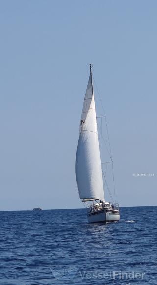 NILS HOLGERSON SY photo