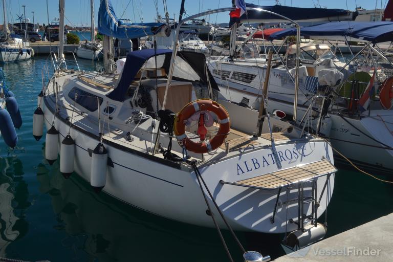 ALBATROS photo