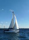 MARTHA