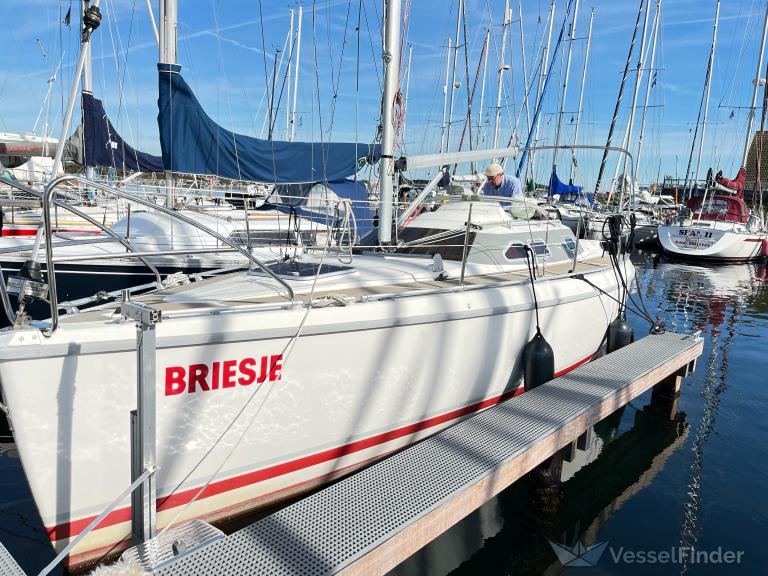 BRIESJE photo