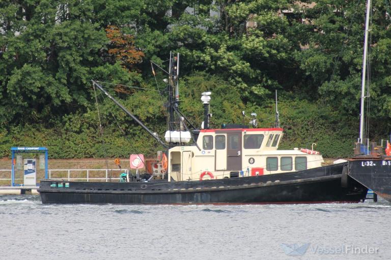 KORMORAN