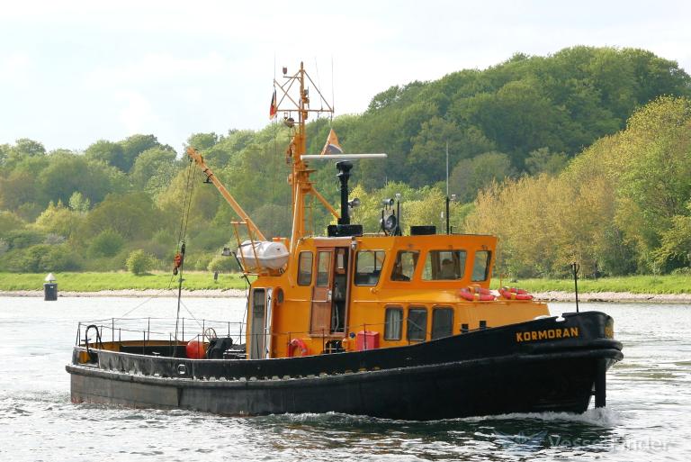 KORMORAN