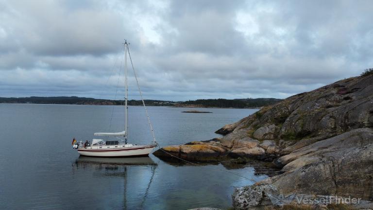 KUMARA photo