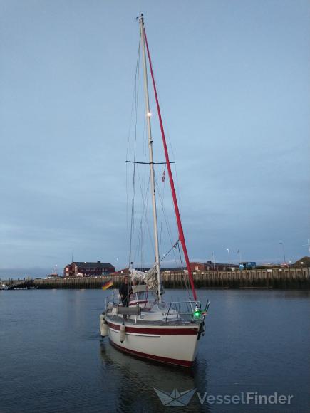 NOECK II photo