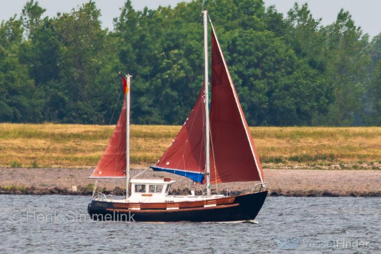 MORITZ photo