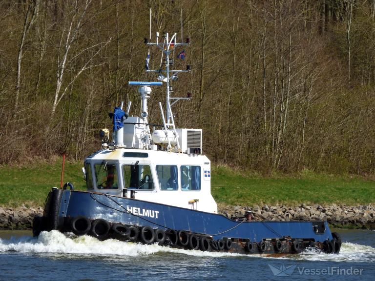 HELMUT photo