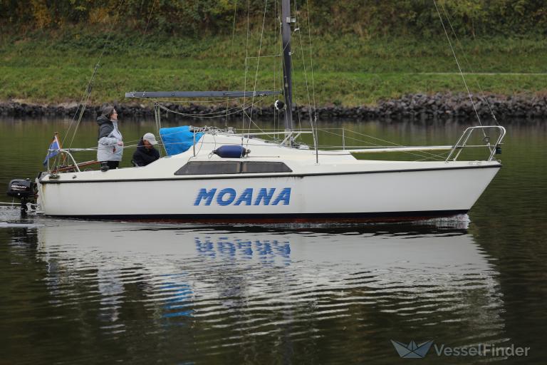 MOANA photo