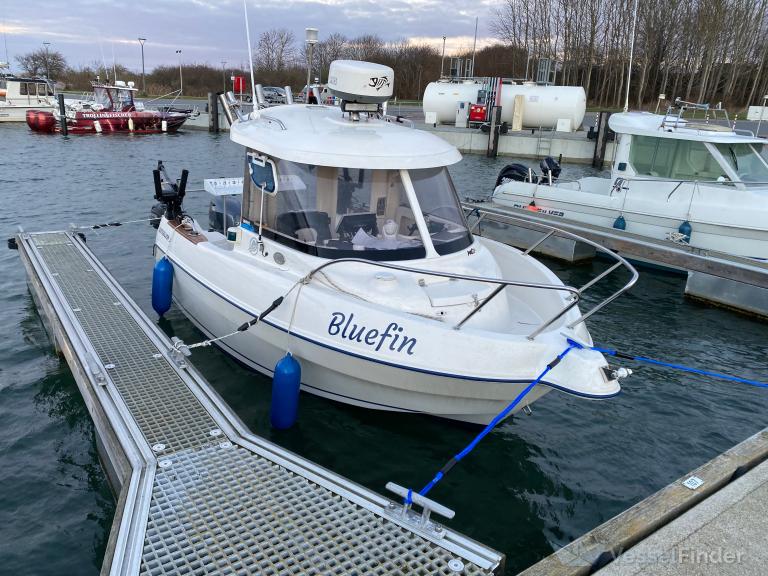 BLUEFIN photo