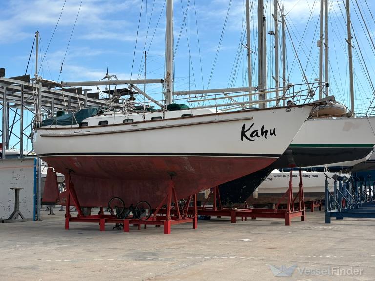 KAHU photo