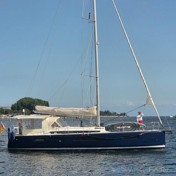 BLUE OYSTER photo