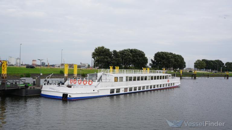 DAUERWELLE photo