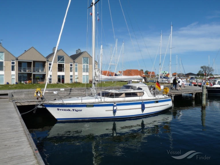 SVENSK.TIGER photo
