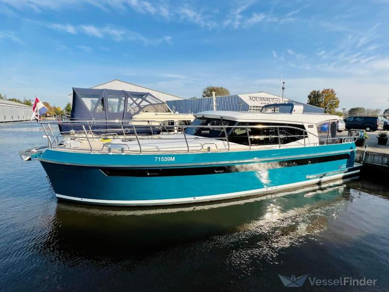 AVALON photo