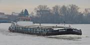 DANUBE-1
