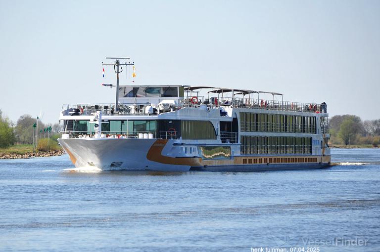 MONARCH DUCHESS photo