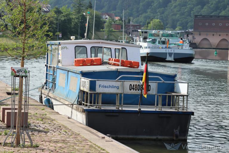FRISCHLING photo
