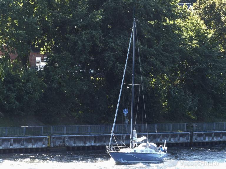 SY BLUE MOTION photo