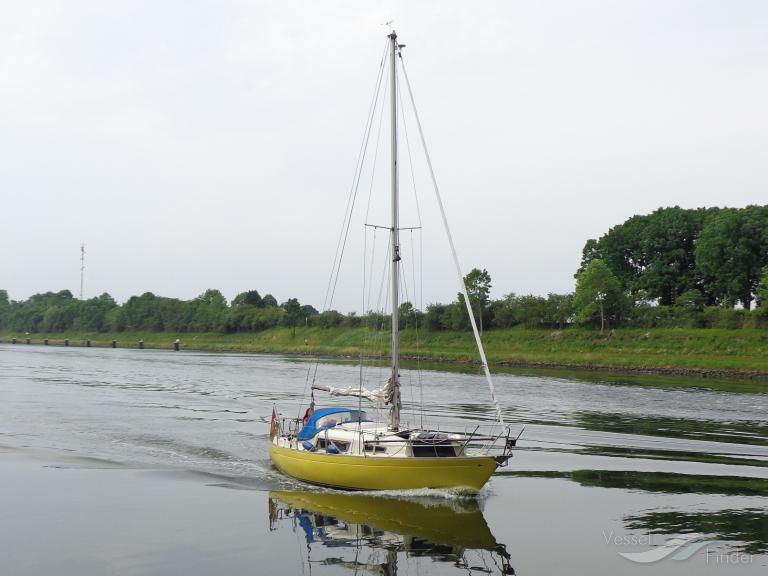GODEN WIND MYC photo