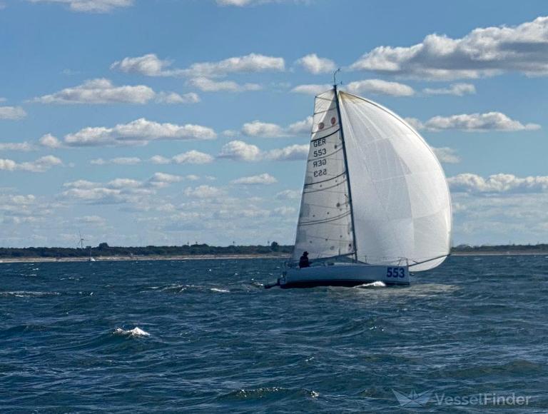 MOJO SOLO SAILOR photo