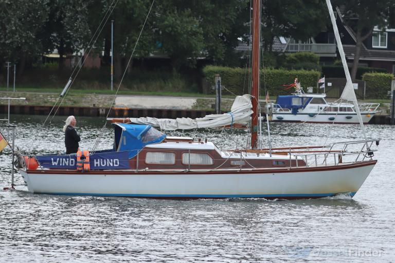 WINDHUND photo