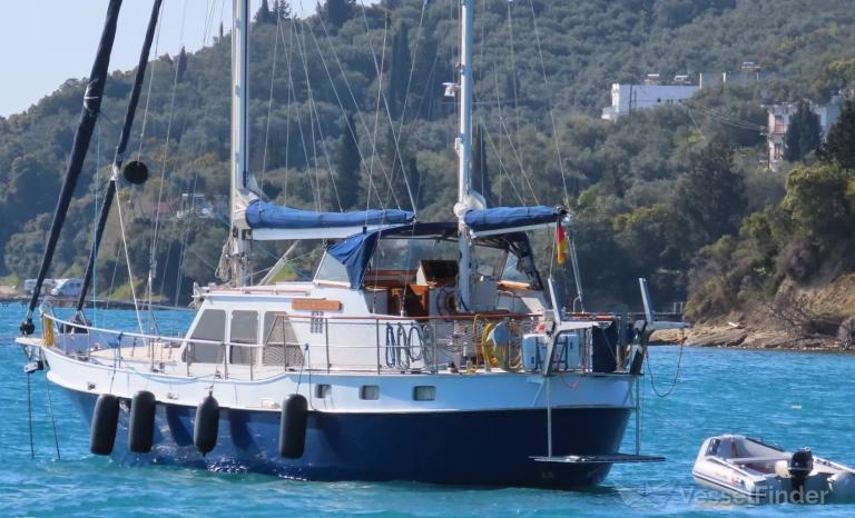 SUMMER MORNING photo