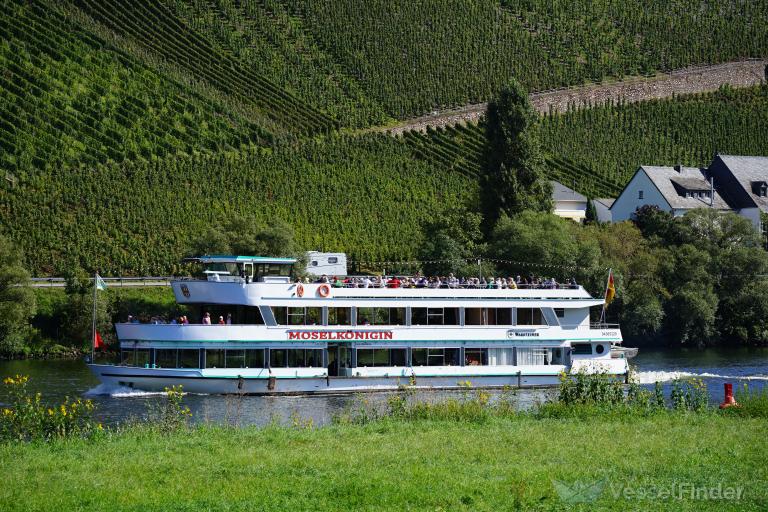 MOSELKOENIGIN photo