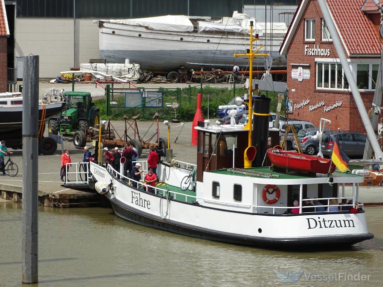 DITZUM photo