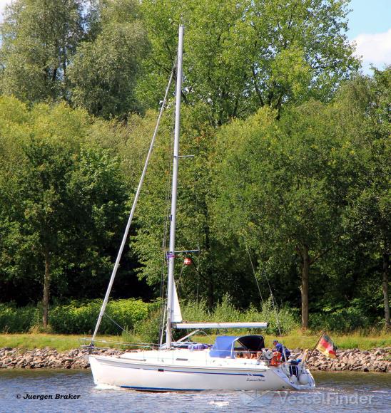 SUMMERWINE photo