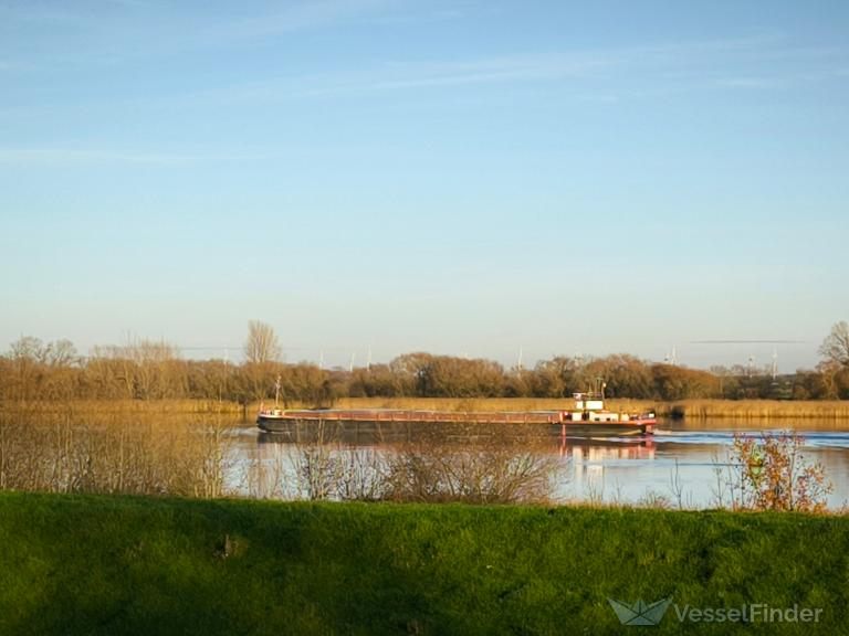 GISELA SCHEPERS photo