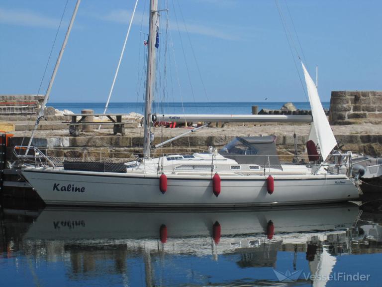 KALINE photo