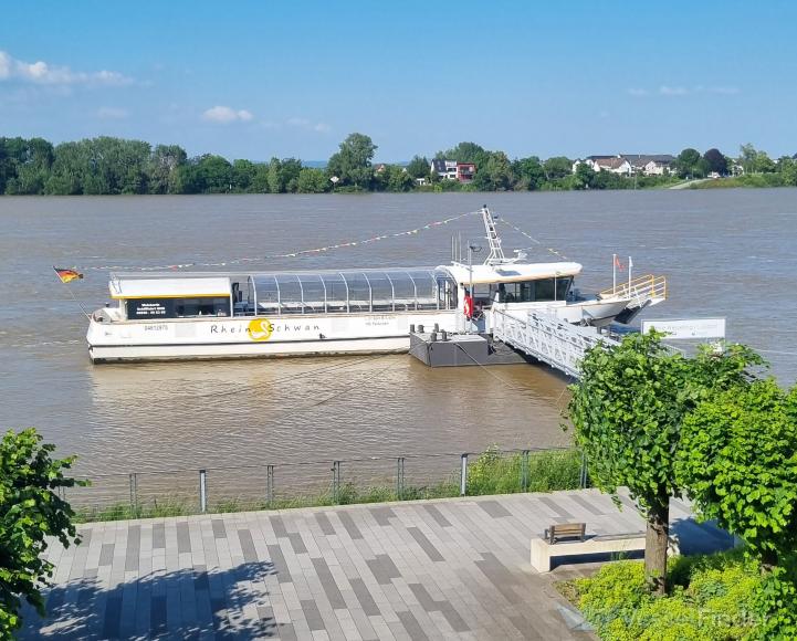 RHEINSCHWAN photo