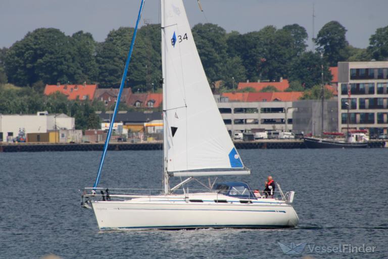 DELPHIN photo