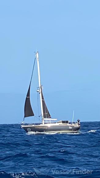 SY FANGO - FGS photo