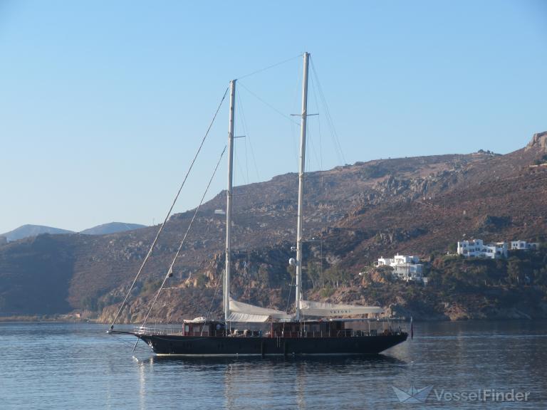 MS SATORI photo