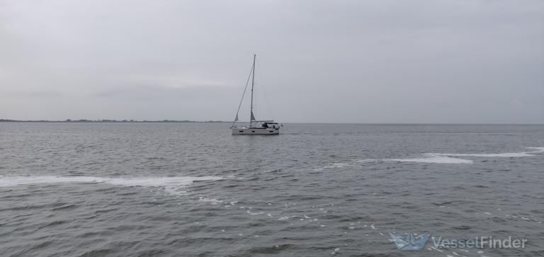 VAYA photo