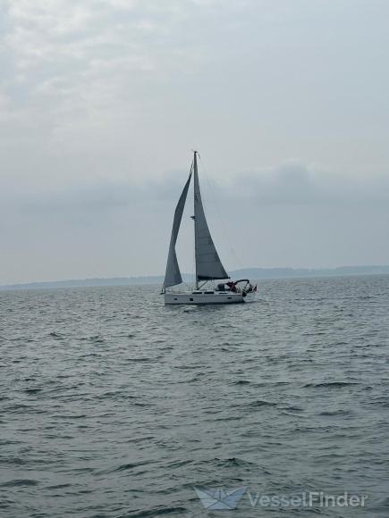 SY VINCO photo