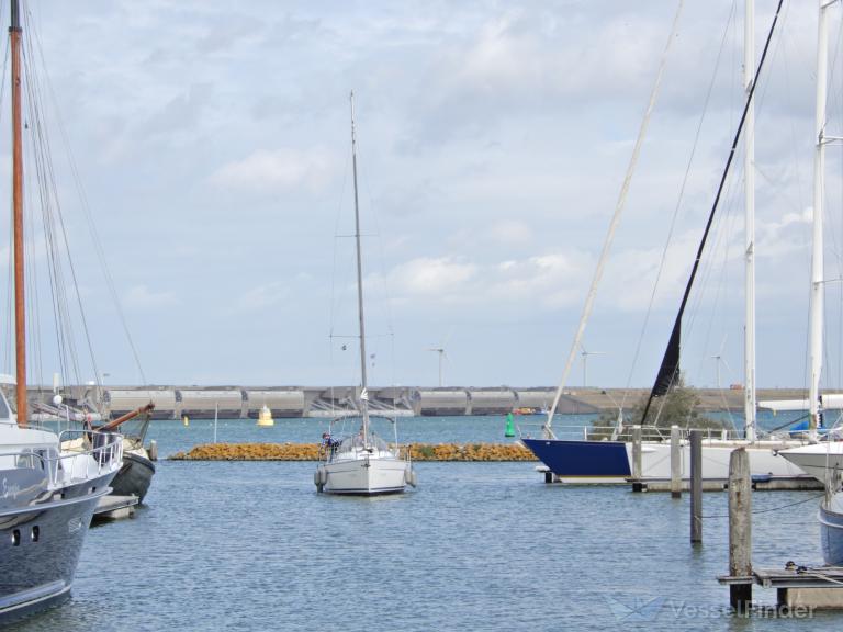 TALOFA photo