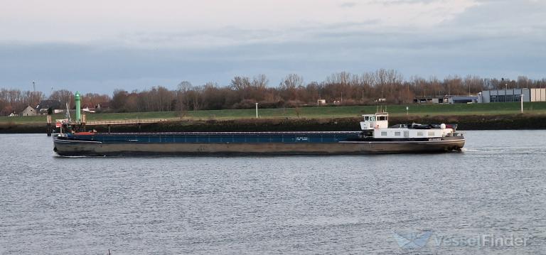MS MADEIRA photo