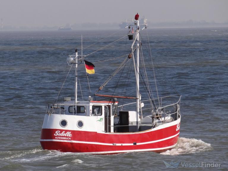 SCHOLLE