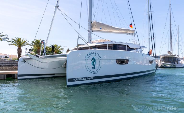 CABALLITO DE MAR photo