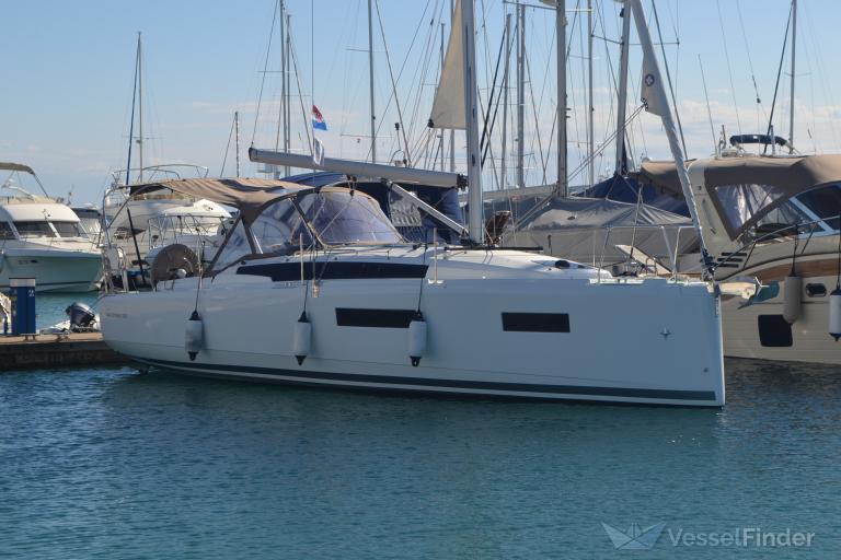 BIENEN-QUEEN 2 photo