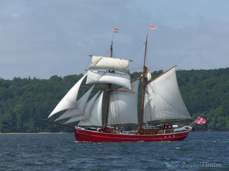 LILLA DAN