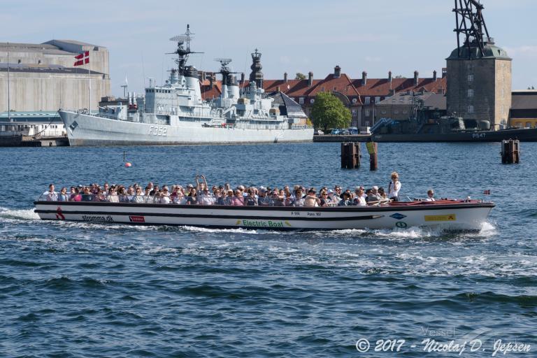 DEN GRIMME AELLING photo