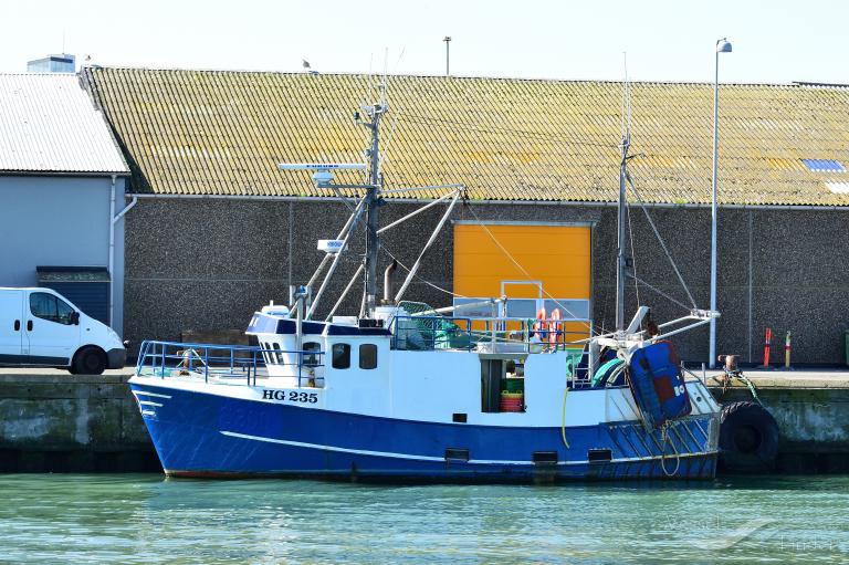 S300 BUTTERFLY photo