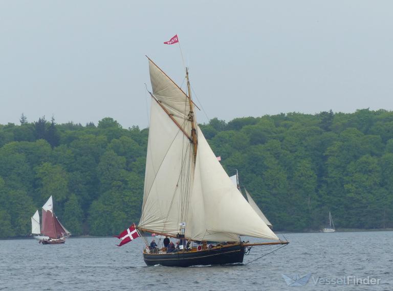 VIKING