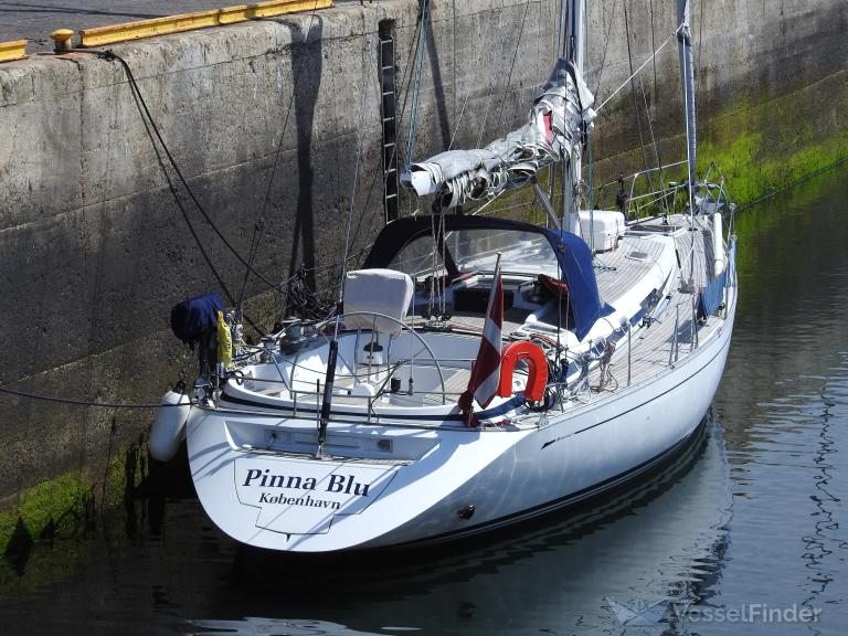 PINNA BLU photo