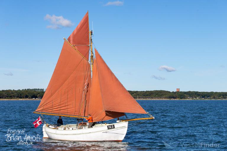 ALLIANCE AF NYSTED photo