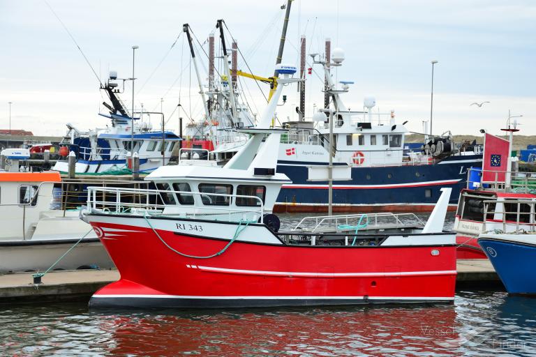 TINA KILDE RI 343 photo